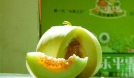 雪梨在线吃瓜