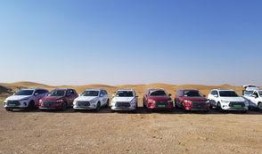 嵊州比亚迪吃瓜,真相与争议交织