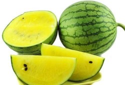 京东外卖吃瓜图片,吃瓜群众的新选择，美食与娱乐的完美融合