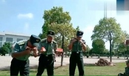 教官吃瓜了视频,一场爆笑的军营日常