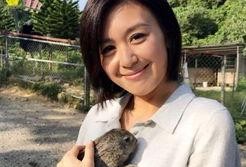 假意吃瓜唐宁,揭秘娱乐圈背后的真实故事