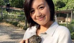 假意吃瓜唐宁,揭秘娱乐圈背后的真实故事