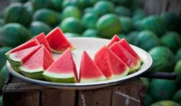 吃瓜嘉兴,揭秘吃瓜群众的嘉兴美食之旅