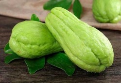 什么季节吃土瓜,美味土瓜的时节享用指南