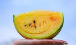 云南情侣吃瓜事件,甜蜜误会引发网络热议