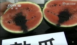 广东中山吃瓜视频,探寻广东美食的独特魅力