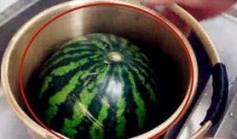 吃瓜换瓜,一场别开生面的趣味互动盛宴