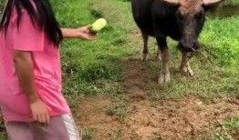 牛不啦吃瓜,揭秘娱乐圈背后的那些事儿