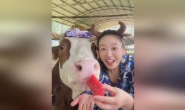 牛不啦吃瓜,揭秘娱乐圈背后的那些事儿