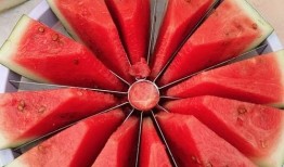 趣味吃瓜赛,一场舌尖上的狂欢盛宴