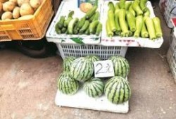 西瓜视频自由吃瓜,自由吃瓜，畅享娱乐盛宴