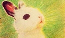 rabbit吃瓜,趣味横生的夏日时光