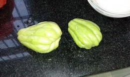 药瓜根茎怎么吃,药瓜根茎的多样食用方法探索