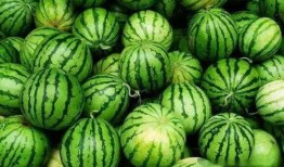 吃瓜猎奇17,一场惊心动魄的真相大揭秘