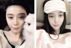 女明星吃瓜梳理,幕后故事与情感纠葛