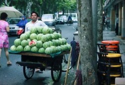 青岛路边吃瓜事件,公共道德与个人自由的边界探讨