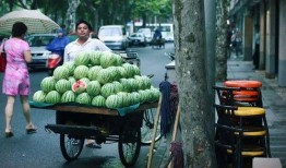 青岛路边吃瓜事件,公共道德与个人自由的边界探讨