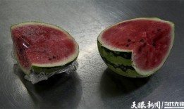 菌主吃瓜,揭秘网络红人的幕后故事