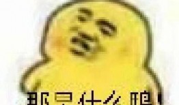 吃瓜黑脸表情包,揭秘网络文化新宠