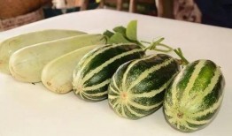 来摘瓜给你吃,来摘瓜给你吃的温馨时光