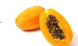 坐月 吃秋瓜,传统智慧与现代生活的完美融合