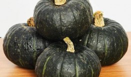 石头吃贝贝瓜,石头与贝贝瓜的奇妙邂逅