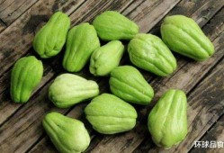 真正在线吃瓜,跟随“真正在线吃瓜”探寻热点背后的真相