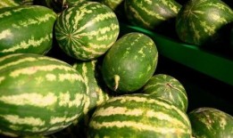 浙农林吃瓜事件,校园风波背后的真相与反思