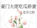豪门分钱吃瓜,分钱吃瓜背后的权谋风云