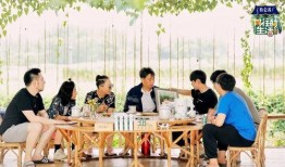 综艺吃瓜全家桶,盘点热门综艺背后的精彩故事