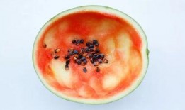 大圆勺子吃瓜图片大全,趣味横生的美食奇观