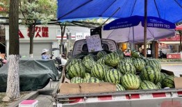 探社吃瓜,揭秘娱乐圈那些不为人知的幕后故事