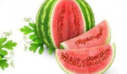 sei吃瓜,揭秘娱乐圈背后的那些事儿