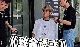 吃瓜群众示范视频,一场全民参与的趣味盛宴