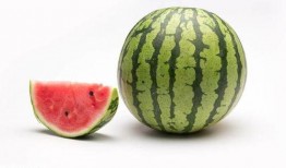 趣味吃瓜大赛回放