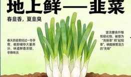 春天吃网纹瓜文案,网纹瓜，春天的甜蜜诱惑