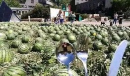 吃瓜群众北京朝阳,吃瓜群众眼中的繁华都市缩影