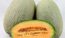 哈密瓜白肉吃吗,美味可口的健康选择