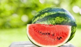 西瓜不瓜吃不吃西瓜