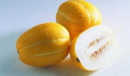 孕初期吃荀瓜,营养与健康的完美结合