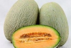 吃补药可以吃哈密瓜吗,食用搭配指南