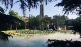 小北湖最新吃瓜事件,真相揭秘引网友热议