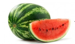 学生品瓜抢瓜吃的图片,品瓜抢瓜欢乐多