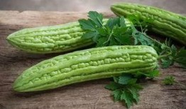 感冒吃白凉瓜,清凉解暑，养生保健新选择