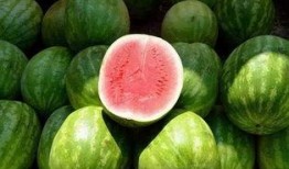 吃瓜1号位,网络红人的崛起与影响力