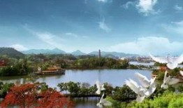 惠州西湖吃瓜,夏日吃瓜好去处