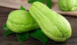 孕期梦见吃生瓜,生瓜暗示的奇妙寓意