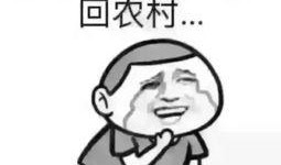 懵逼状态吃瓜,揭秘网络迷雾中的热点事件