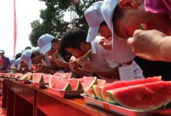 趣味吃瓜赛,一场舌尖上的狂欢盛宴