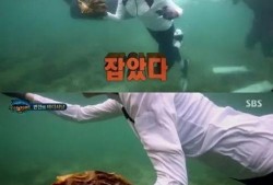 吃瓜只吃心 极限挑战,揭秘极限挑战背后的趣味与温情